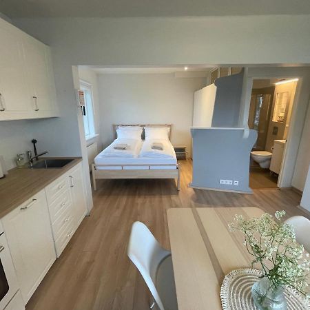 Cosy Studio Apartment Hveragerdi Ngoại thất bức ảnh